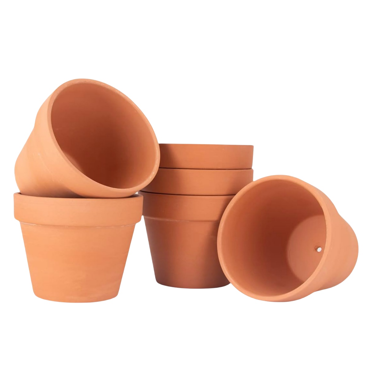 Cactus Mix Pot - 6 stks 4 inch Terracotta Potten