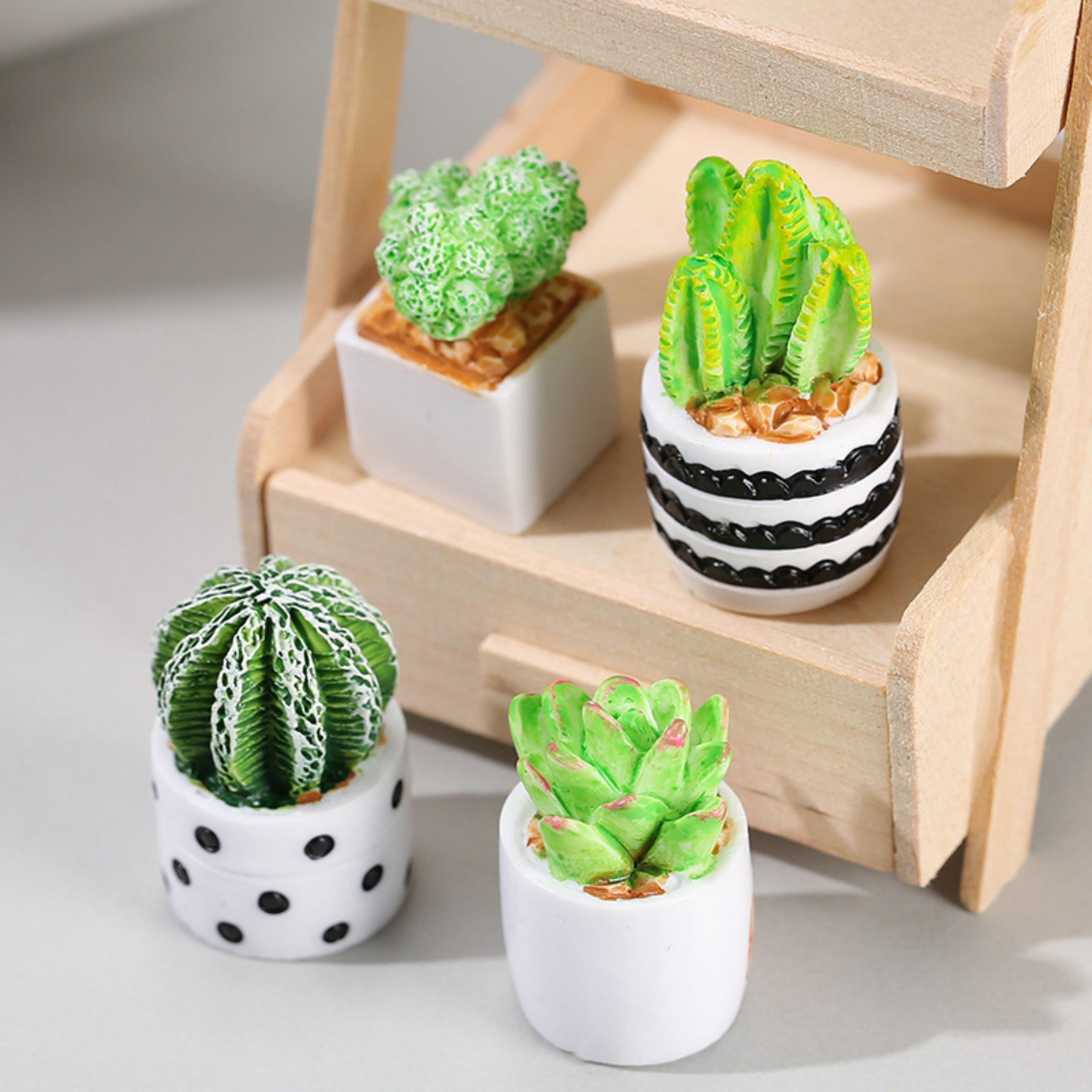 Cactus Mix Pot - 4-delige set cactus- en vetplanten in