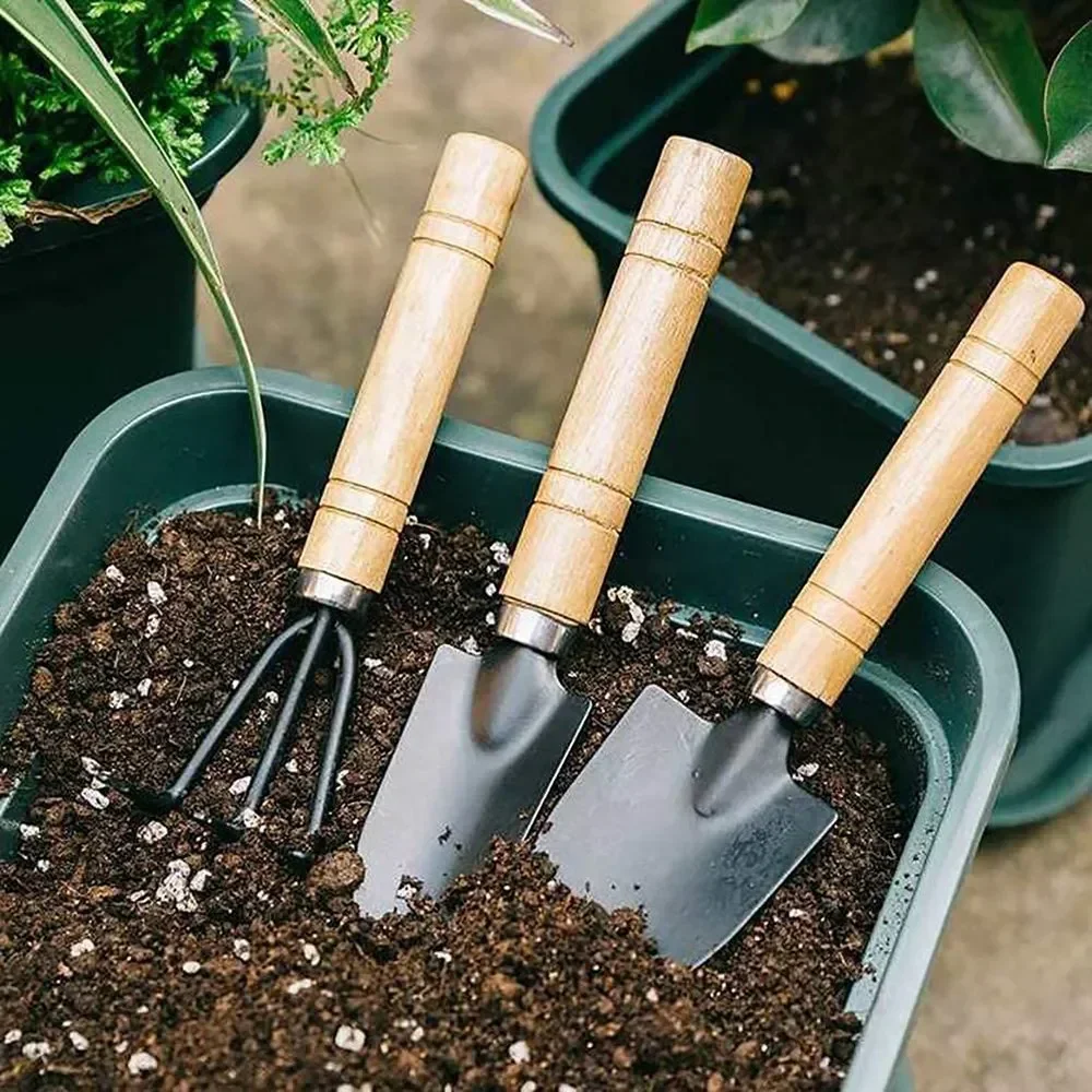 3 stks/set Mini Tuingereedscha - Cactus Mix Pot recensie en prijs