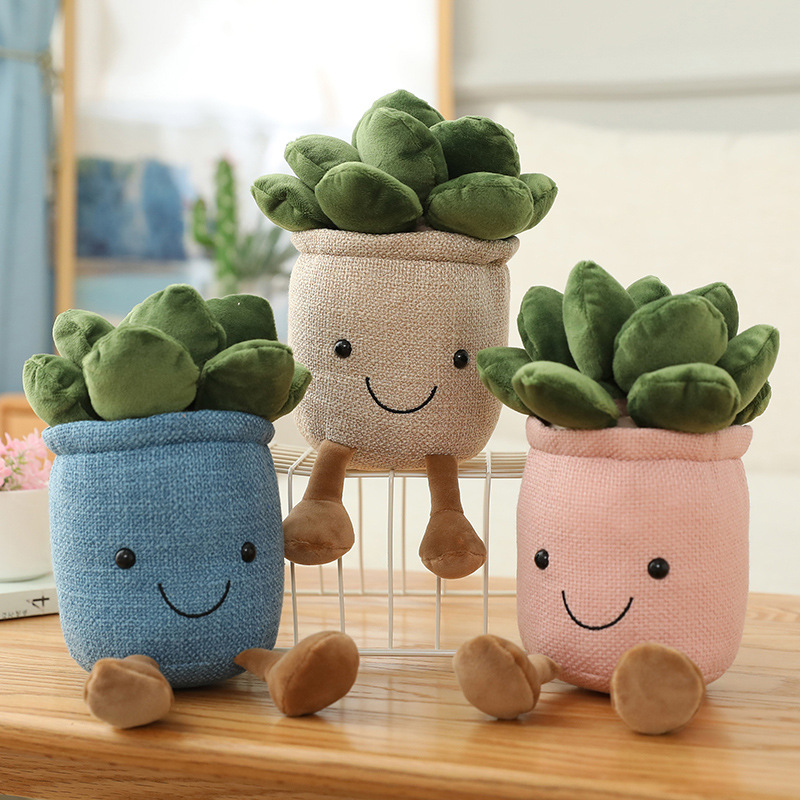 @@Levensechte Tulp Vetplanten  - Cactus Mix Pot recensie en prijs