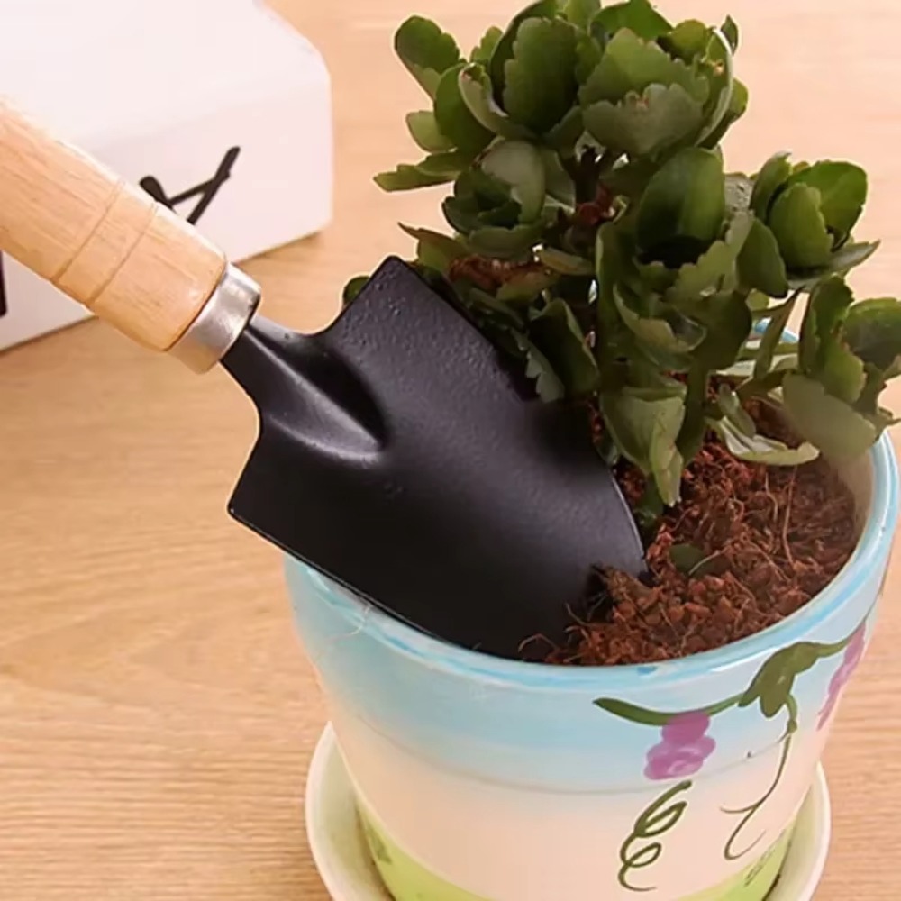 3 stks/set Mini Tuingereedscha - Cactus Mix Pot recensie en prijs
