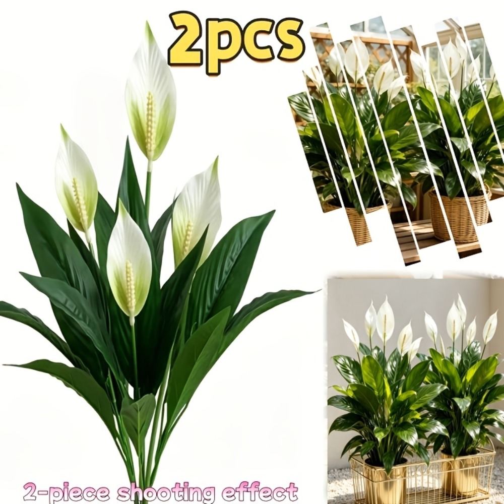 2-delige, hoogwaardige, grote  - Peace Lily White recensie en prijs